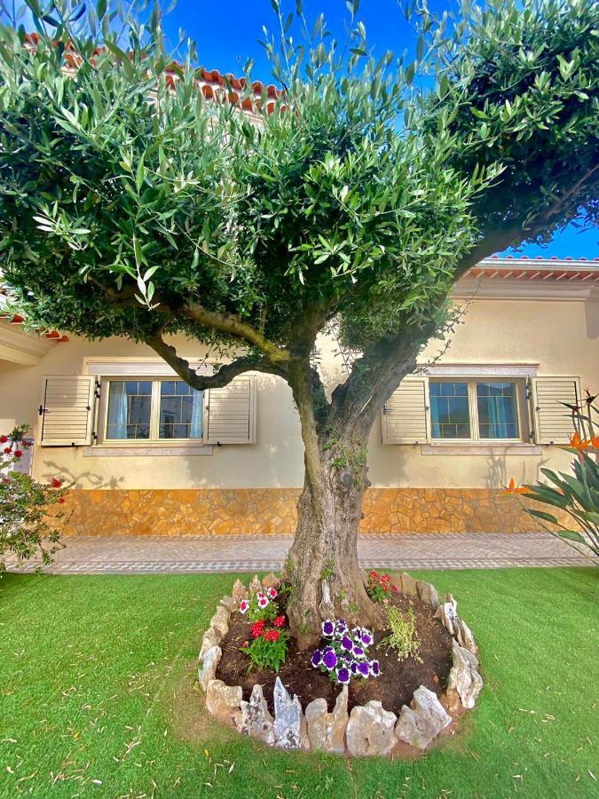Casa Das Laranjeiras Alqueidão da Serra Exteriér fotografie